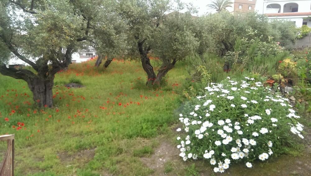 Apartamento Tia Antonia Villar de Plasencia 외부 사진